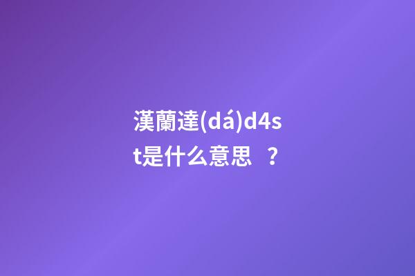 漢蘭達(dá)d4st是什么意思？